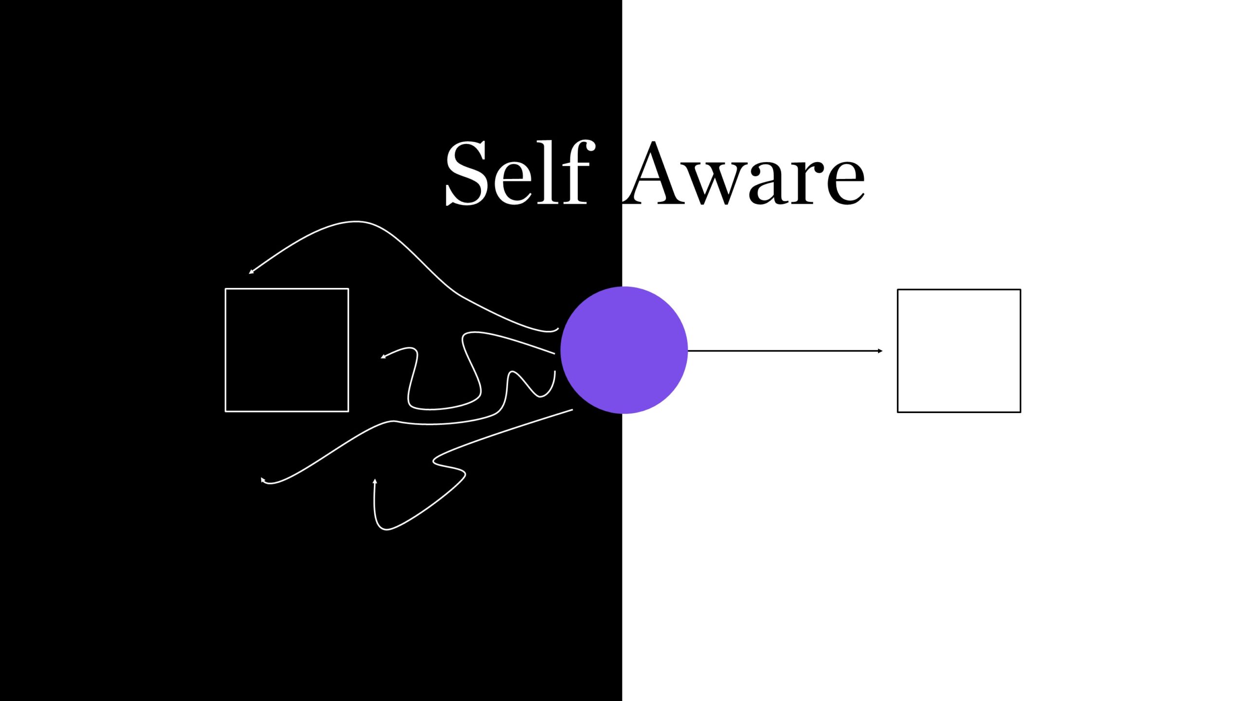 Qual é a diferença entre self awareness e self consciousness ?