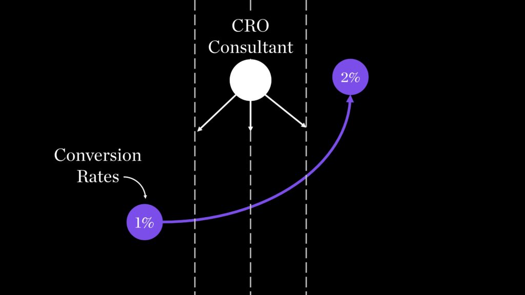 CRO consultant